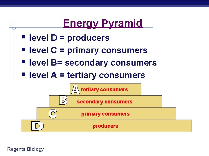 Energy Pyramid § level D = producers § level C = primary consumers §