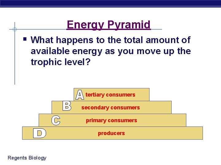 Energy Pyramid § What happens to the total amount of available energy as you