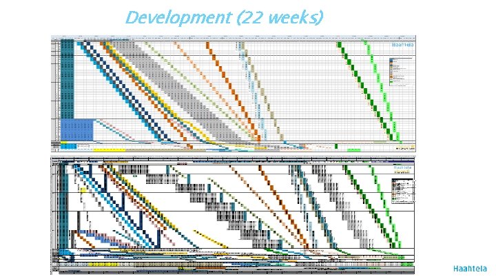 Development (22 weeks) 