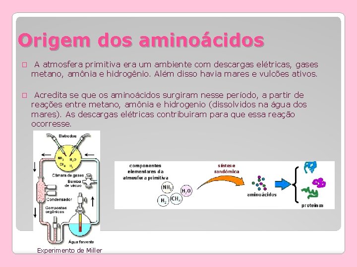 Origem dos aminoácidos � A atmosfera primitiva era um ambiente com descargas elétricas, gases Origem dos aminoácidos � A atmosfera primitiva era um ambiente com descargas elétricas, gases
