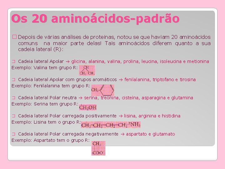 Os 20 aminoácidos-padrão � Depois de várias análises de proteínas, notou se que haviam Os 20 aminoácidos-padrão � Depois de várias análises de proteínas, notou se que haviam