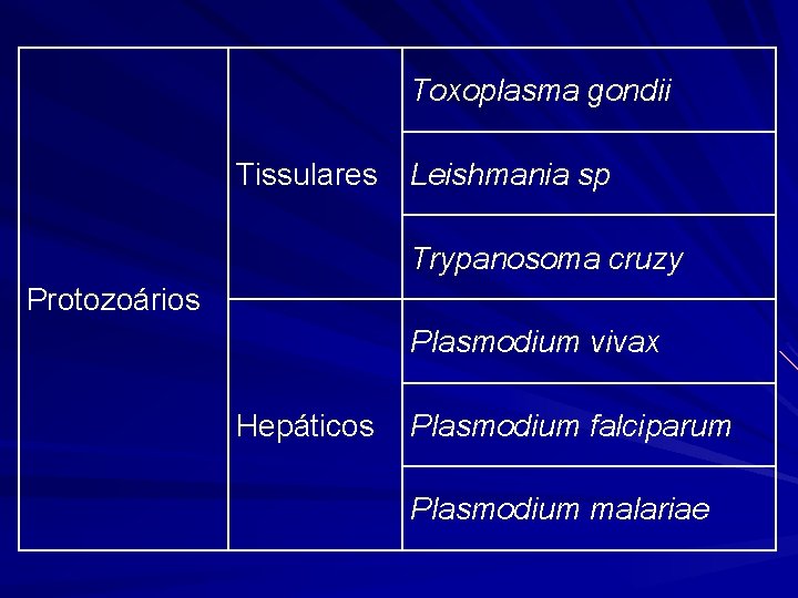 Toxoplasma gondii Tissulares Leishmania sp Trypanosoma cruzy Protozoários Plasmodium vivax Hepáticos Plasmodium falciparum Plasmodium