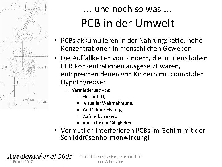 … und noch so was … PCB in der Umwelt • PCBs akkumulieren in