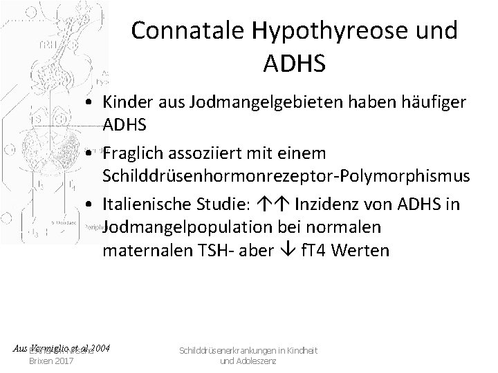 Connatale Hypothyreose und ADHS • Kinder aus Jodmangelgebieten haben häufiger ADHS • Fraglich assoziiert