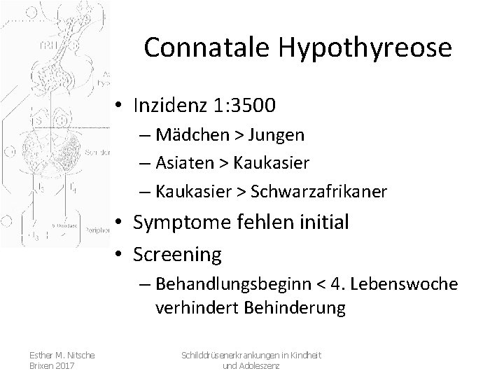 Connatale Hypothyreose • Inzidenz 1: 3500 – Mädchen > Jungen – Asiaten > Kaukasier