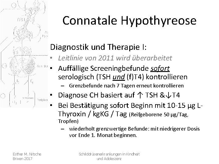 Connatale Hypothyreose Diagnostik und Therapie I: • Leitlinie von 2011 wird überarbeitet • Auffällige