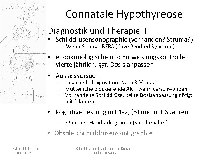 Connatale Hypothyreose Diagnostik und Therapie II: • Schilddrüsensonographie (vorhanden? Struma? ) – Wenn Struma: