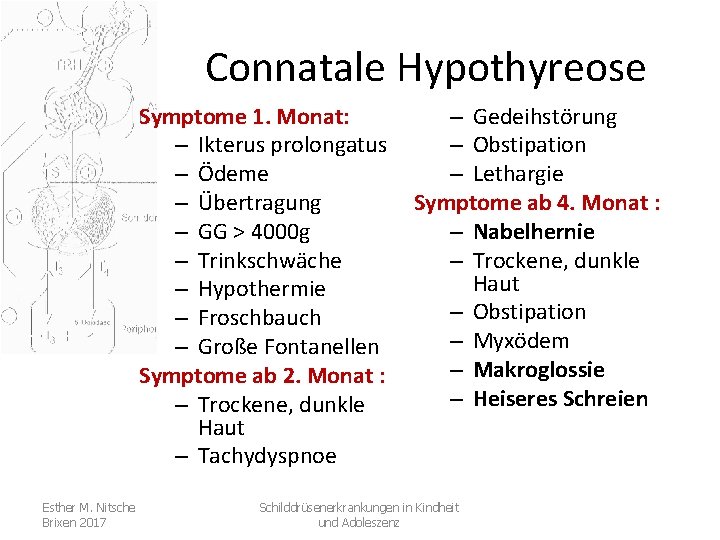 Connatale Hypothyreose Symptome 1. Monat: – Ikterus prolongatus – Ödeme – Übertragung – GG