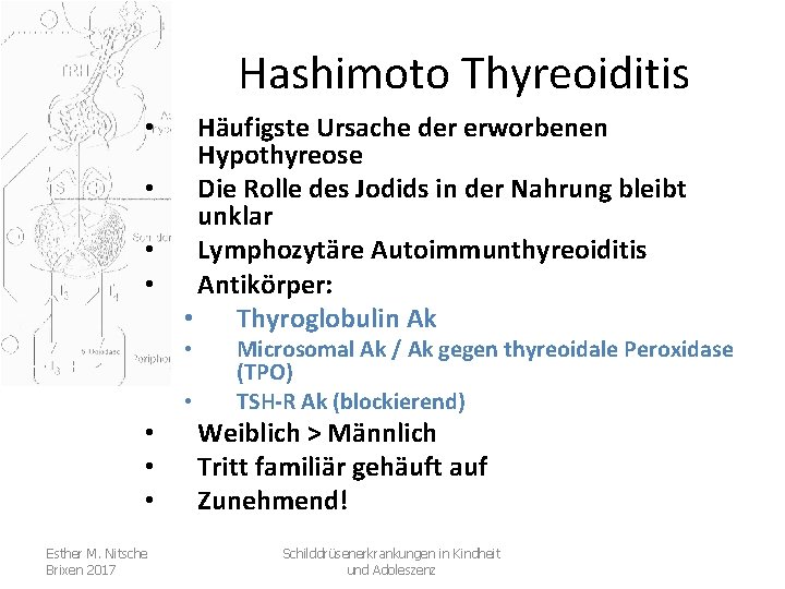 Hashimoto Thyreoiditis • • Häufigste Ursache der erworbenen Hypothyreose Die Rolle des Jodids in