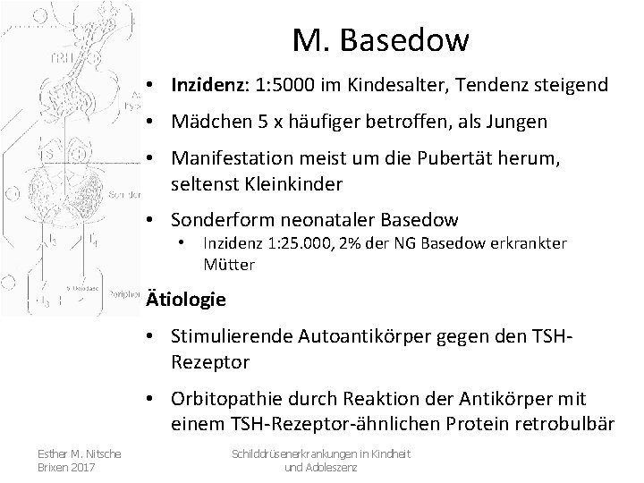 M. Basedow • Inzidenz: 1: 5000 im Kindesalter, Tendenz steigend • Mädchen 5 x