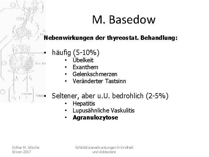 M. Basedow Nebenwirkungen der thyreostat. Behandlung: • häufig (5 -10%) • • Übelkeit Exanthem
