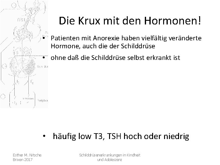 Die Krux mit den Hormonen! • Patienten mit Anorexie haben vielfältig veränderte Hormone, auch