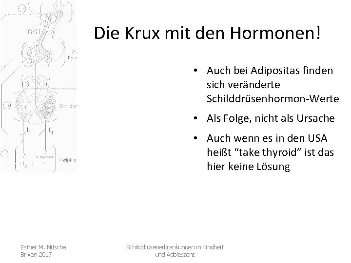 Die Krux mit den Hormonen! • Auch bei Adipositas finden sich veränderte Schilddrüsenhormon-Werte •