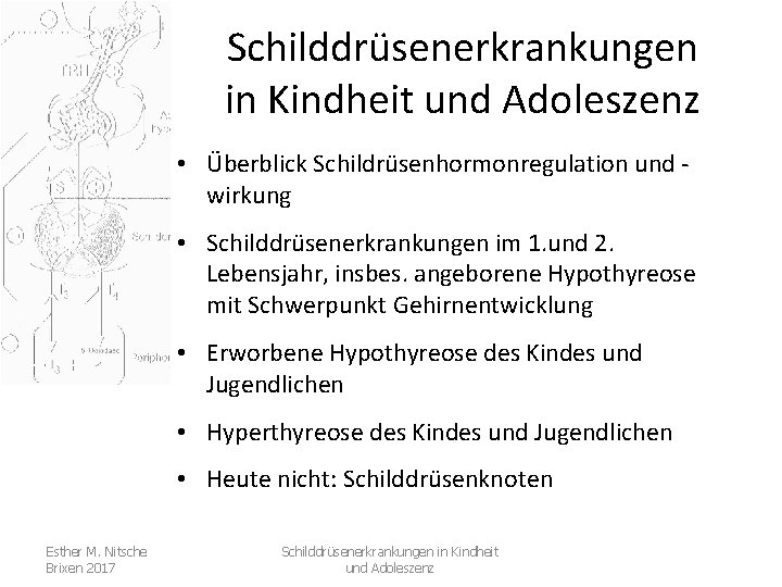 Schilddrüsenerkrankungen in Kindheit und Adoleszenz • Überblick Schildrüsenhormonregulation und wirkung • Schilddrüsenerkrankungen im 1.