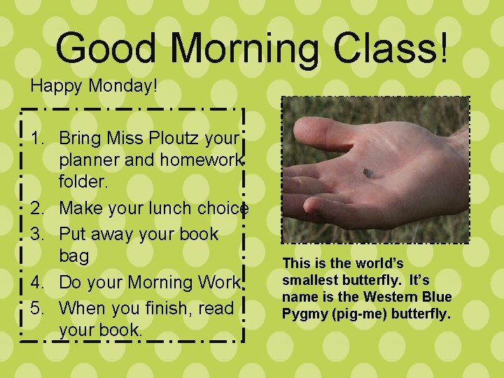 Good Morning Class! Happy Monday! 1. Bring Miss Ploutz your planner and homework folder.