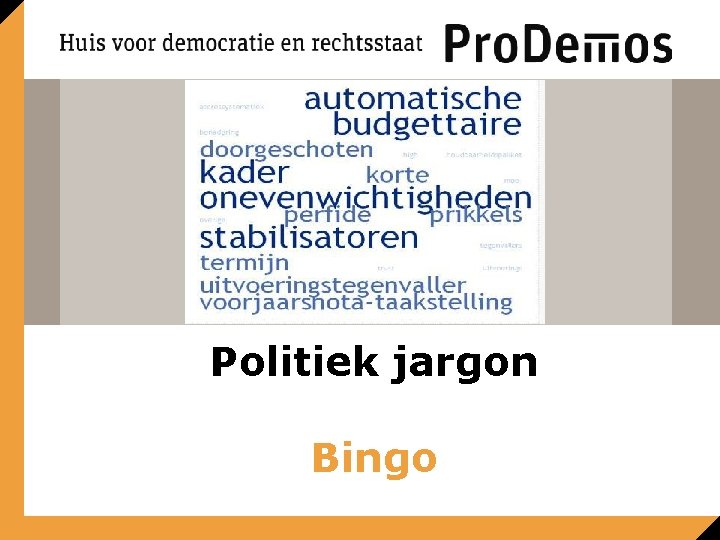 Politiek jargon Bingo 