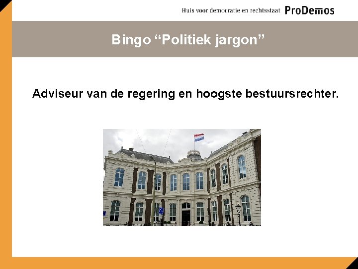 Bingo “Politiek jargon” Adviseur van de regering en hoogste bestuursrechter. 