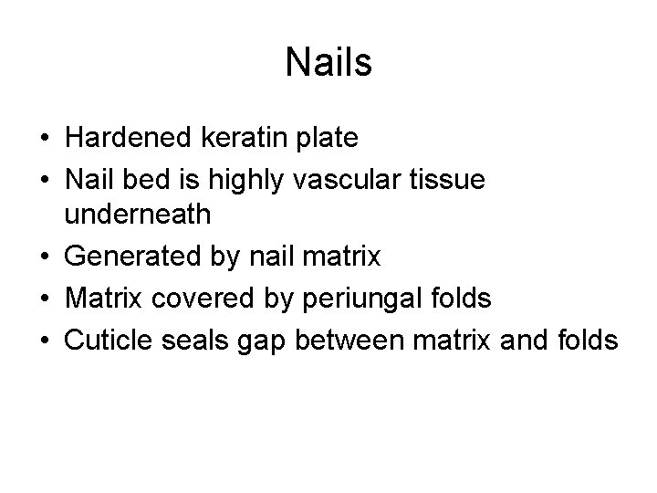 Nails • Hardened keratin plate • Nail bed is highly vascular tissue underneath •