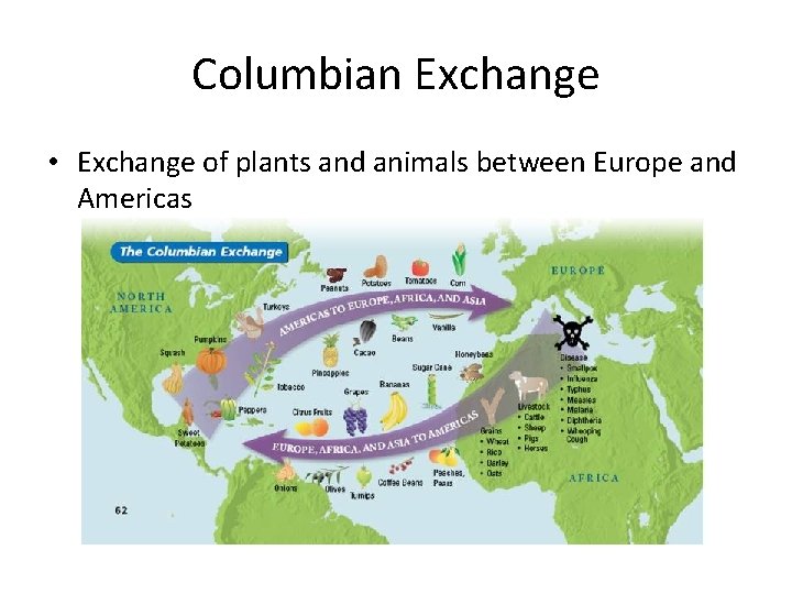 Columbian Exchange • Exchange of plants and animals between Europe and Americas 