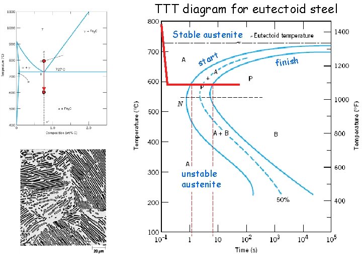 TTT diagram for eutectoid steel Stable austenite t r sta unstable austenite finish 