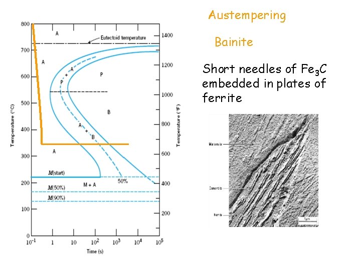 Austempering Bainite Short needles of Fe 3 C embedded in plates of ferrite 