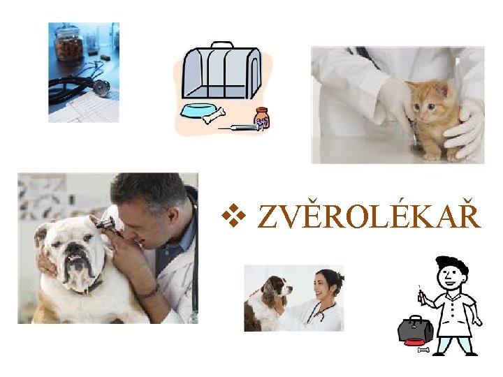 v ZVĚROLÉKAŘ 