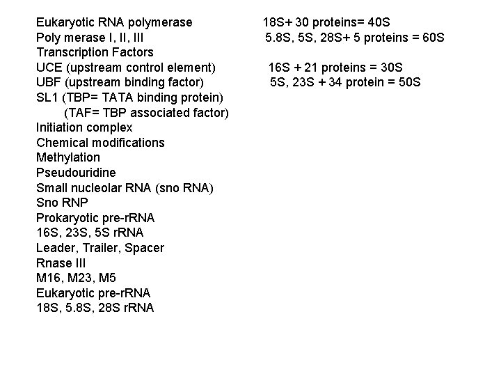 Eukaryotic RNA polymerase 18 S+ 30 proteins= 40 S Poly merase I, III 5.