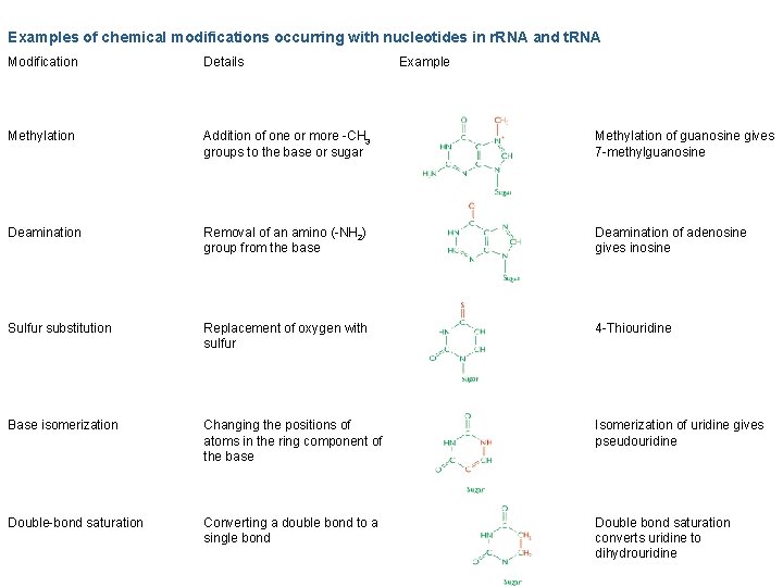 Examples of chemical modifications occurring with nucleotides in r. RNA and t. RNA Modification