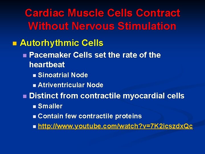 Cardiac Muscle Cells Contract Without Nervous Stimulation n Autorhythmic Cells n Pacemaker Cells set