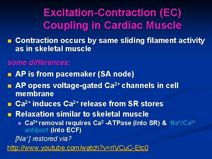 Excitation-Contraction (EC) Coupling in Cardiac Muscle n Contraction occurs by same sliding filament activity Excitation-Contraction (EC) Coupling in Cardiac Muscle n Contraction occurs by same sliding filament activity