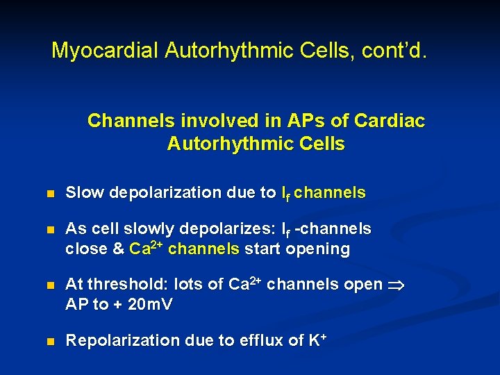 Myocardial Autorhythmic Cells, cont’d. Channels involved in APs of Cardiac Autorhythmic Cells n Slow