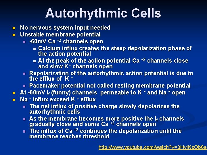 Autorhythmic Cells n n No nervous system input needed Unstable membrane potential n -60