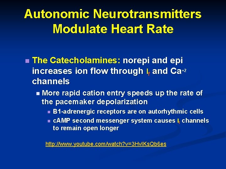 Autonomic Neurotransmitters Modulate Heart Rate n The Catecholamines: norepi and epi increases ion flow Autonomic Neurotransmitters Modulate Heart Rate n The Catecholamines: norepi and epi increases ion flow