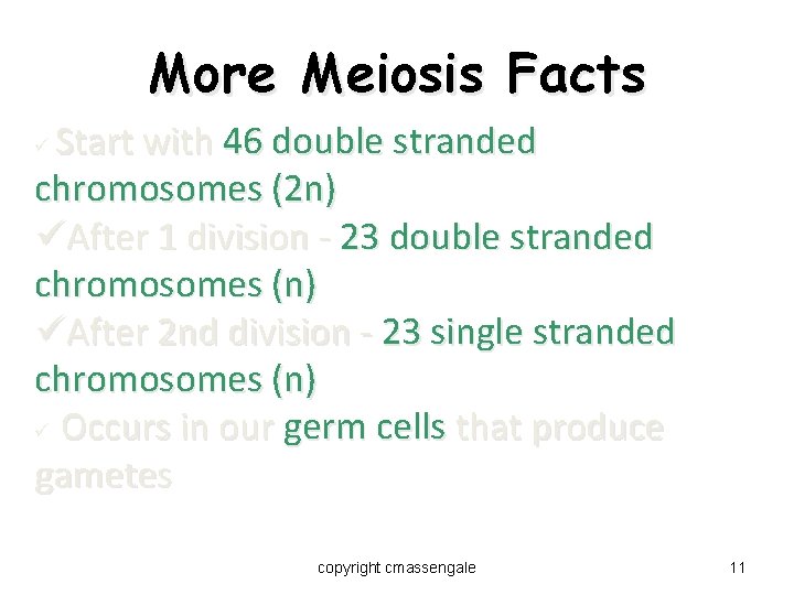 More Meiosis Facts Start with 46 double stranded chromosomes (2 n) üAfter 1 division