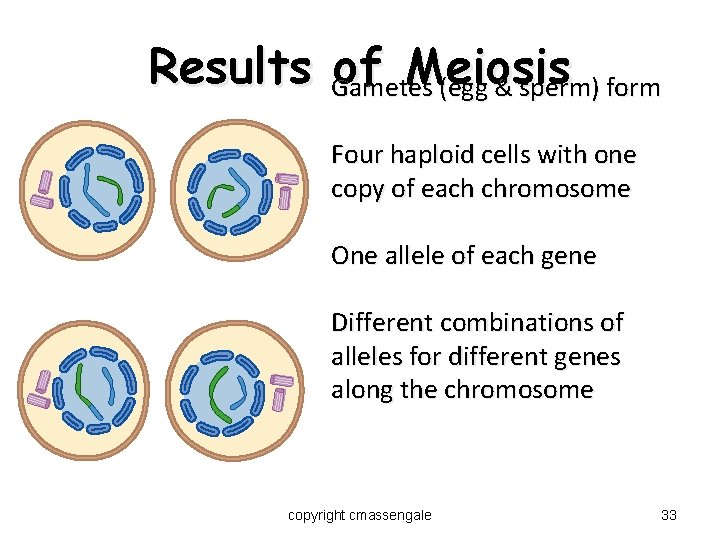 Results Gametes of Meiosis (egg & sperm) form Four haploid cells with one copy