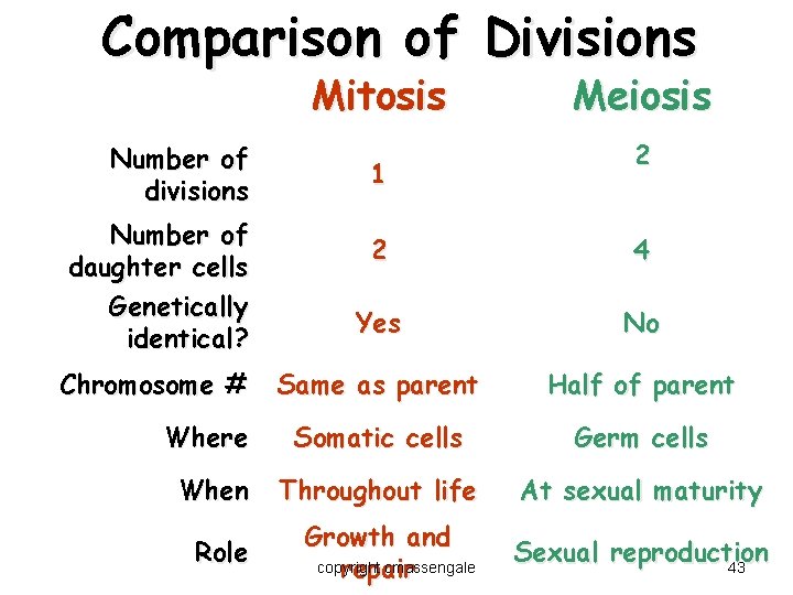 Comparison of Divisions Mitosis Number of divisions Number of daughter cells Genetically identical? 1