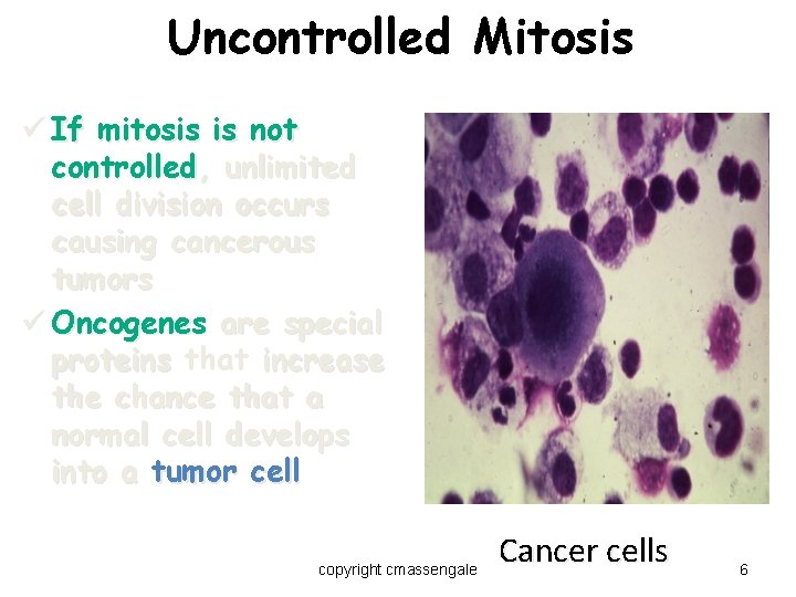 Uncontrolled Mitosis ü If mitosis is not controlled, unlimited cell division occurs causing cancerous