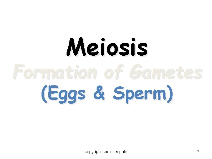Meiosis Formation of Gametes (Eggs & Sperm) copyright cmassengale 7 