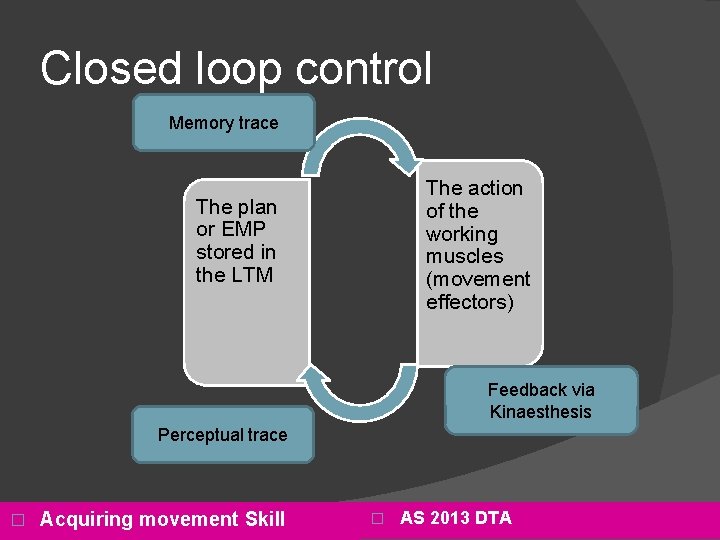 Closed loop control Memory trace The action of the working muscles (movement effectors) The
