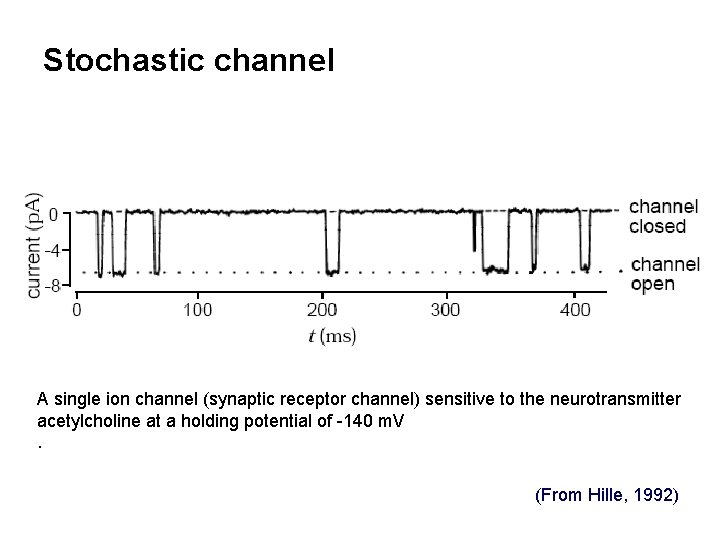Stochastic channel A single ion channel (synaptic receptor channel) sensitive to the neurotransmitter acetylcholine