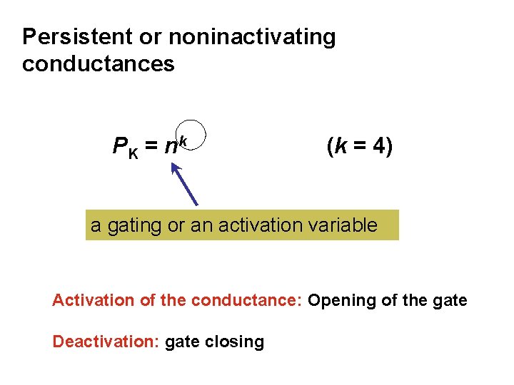 Persistent or noninactivating conductances PK = nk (k = 4) a gating or an