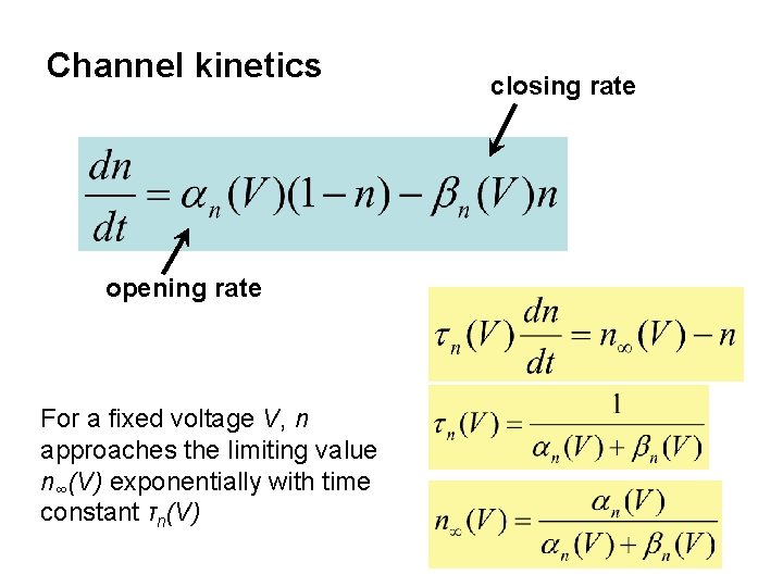 Channel kinetics opening rate For a fixed voltage V, n approaches the limiting value