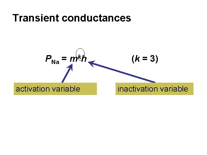 Transient conductances PNa = mkh activation variable (k = 3) inactivation variable 
