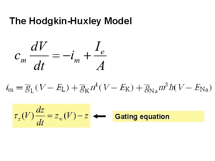The Hodgkin-Huxley Model Gating equation 
