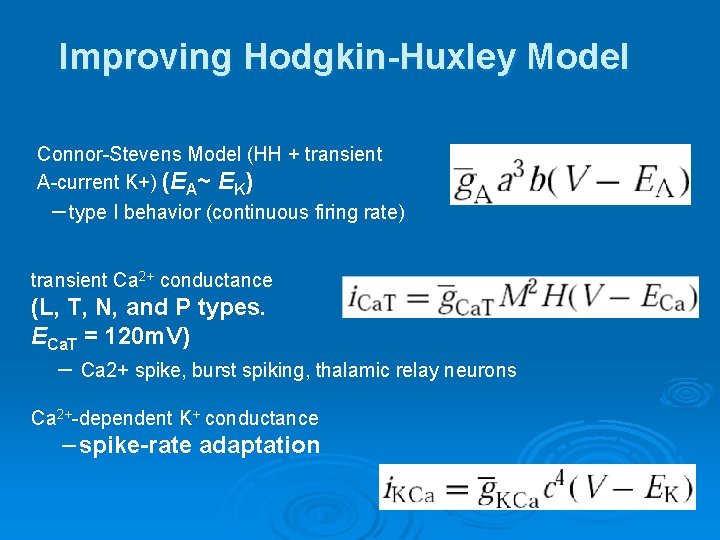 Improving Hodgkin-Huxley Model Connor-Stevens Model (HH + transient A-current K+) (EA~ EK) －type I