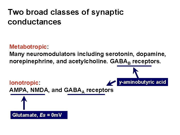 Two broad classes of synaptic conductances Metabotropic: Many neuromodulators including serotonin, dopamine, norepinephrine, and