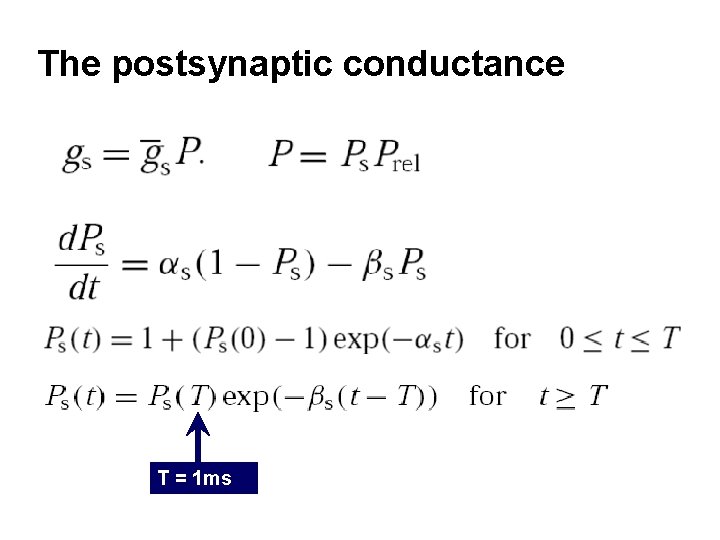 The postsynaptic conductance T = 1 ms 