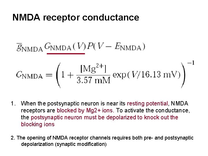 NMDA receptor conductance 1. When the postsynaptic neuron is near its resting potential, NMDA