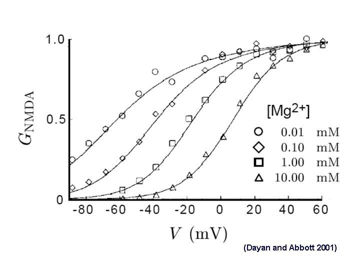 (Dayan and Abbott 2001) 