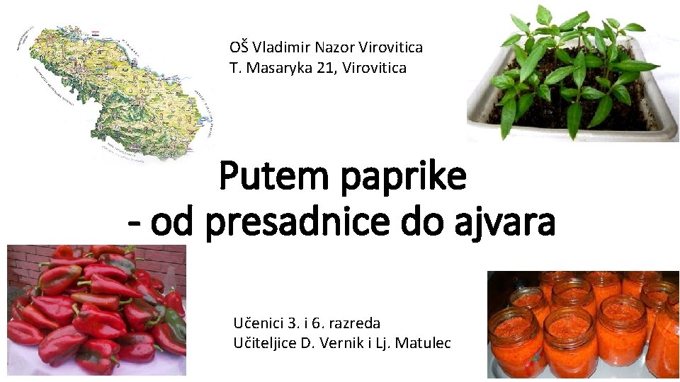 OŠ Vladimir Nazor Virovitica T. Masaryka 21, Virovitica Putem paprike - od presadnice do